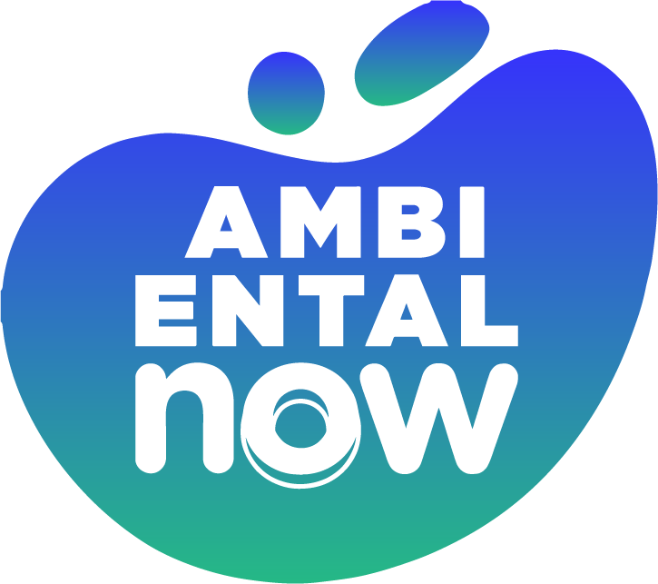 Logo Ambiental Now